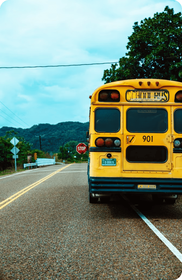 the back view of a school bus