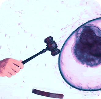 a gavel and fertilization process