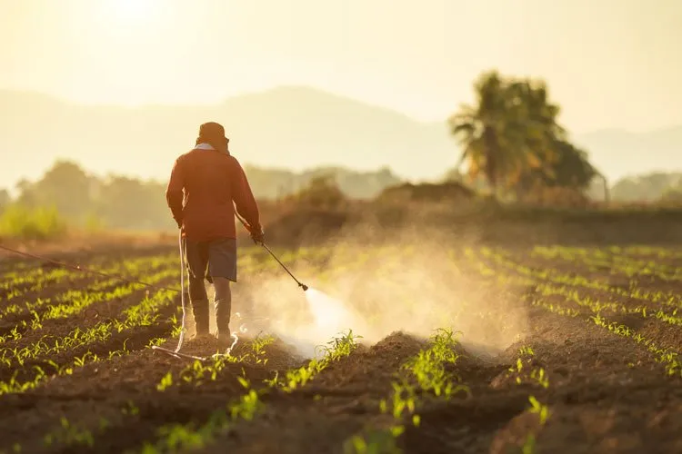 a man watering crops